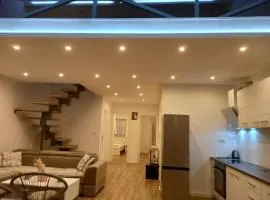 Duplex Luxury Apartment