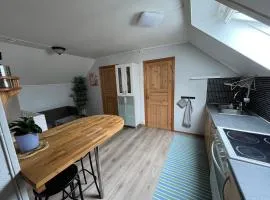 Loft apartment with 3 bedrooms