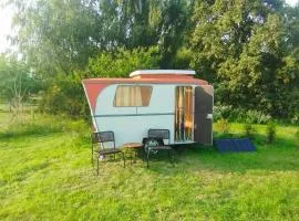 DDR Wohnwagen Friedel