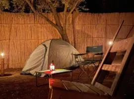 Afra Camp -- Paradise Valley