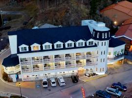 Roosevelt Inn Mount Rushmore，位于奇斯顿的酒店