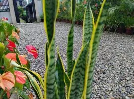 Rongo's Riverside Farm Stay