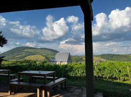 Csernus Doki bor-grillterasza és bungallói，位于埃格尔的酒店