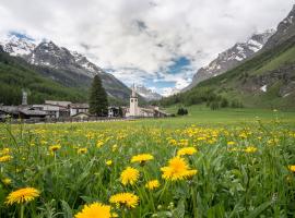 Case Gran Paradiso Rhemes Notre Dame，位于雷梅斯-诺特雷-达梅的酒店