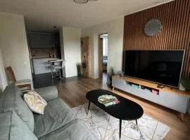 Modern apartment in Rõuge