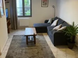 Grand appartement centre ville château St Pierre