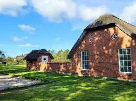 5 star holiday home in Ulfborg