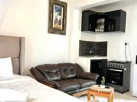 Spacious studio Apt Milimani