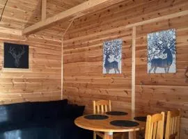 Leśny Zakątek - Mazury - Warmia - jezioro Dadaj