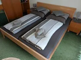 Apartment mit Balkon und Pool, zentral am Waldrand