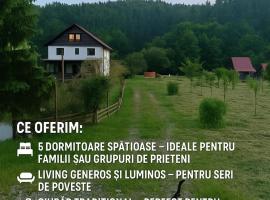 Cabana Țibleș，位于Bichigiu的酒店