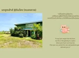นกฮูกเฮ้าส์ ริมโขง หนองคาย