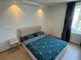 T2 dans le centre ville de Ferney