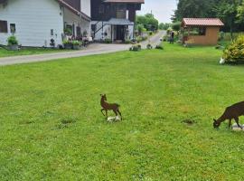 Ferienwohnung，位于绍埃尔拉的酒店