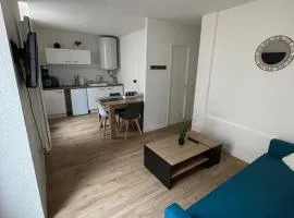 Appartement T2 avec Grande Terasse