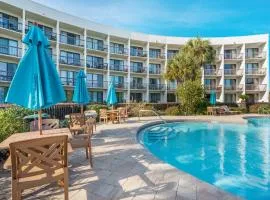 Pirates Bay B304