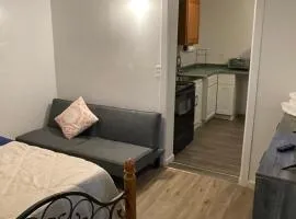 DOWNTOWN PHOENIX ARTS ASU STADIUM 1 BEDRooM GUEST HOUSE SUITE