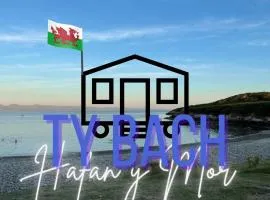 Ty - Bach