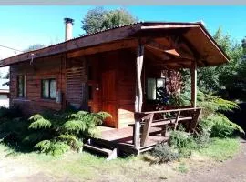 cabaña trelehueno a minutos de termas Vergara