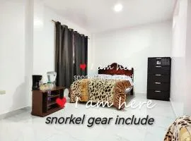 Cuarto en galápagos