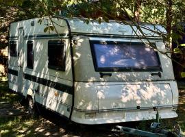 Arion Camp - будиночки в кінному клубі，位于Bobritsa的酒店