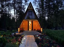 Căsuța din poiană，位于Dorna C&icirc;ndrenilor的木屋