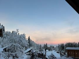 Chalet de charme aux Paccots en famille !，位于沙泰勒圣但尼的酒店