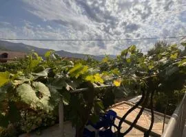 Apartament Teuta