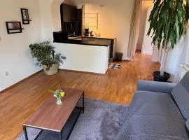 Gemütliches 50qm Apartment mit Terrasse und Garten