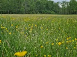 Dom wakacyjny w Lubianie