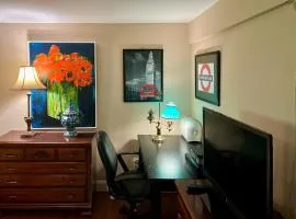 Charming 1-bedroom Basement Close to DC Pets Allowed