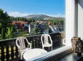 Braunlage Vintage Quartier - Haus bis 14 Personen - 8 Zimmer WG