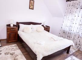 Cabana Walter Busteni cu BBQ & Terasa Privata，位于布什泰尼的酒店