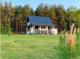 Domek Pod Sosnami，位于Bronków的酒店