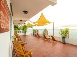 椰子棕榈树旅馆