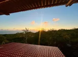 Bamboo Cabin
