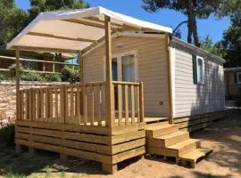 Mobil-home pour 4 avec terrasse à Saint-Maurice-d'Ibie - API-1-52-480