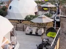 EcoHouse Glamping by ART HOTEL