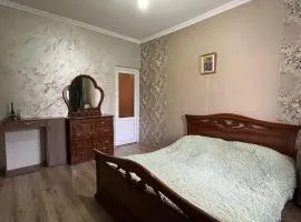 LEO Home