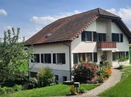 Steinern