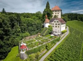 Schloss Heidegg