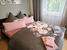 Modernes Gästezimmer in Ferienwohnung