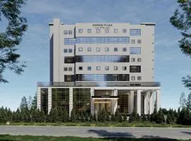 曼索尔副尔酒店