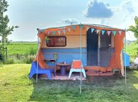 Kleurrijke retro contructam caravan vlakbij het Sneekermeer