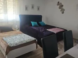 1 Room Apartment Kuckovic