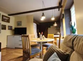 Cosy studio apartment with the garden