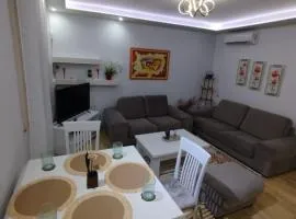 Apartament Fier the Guest