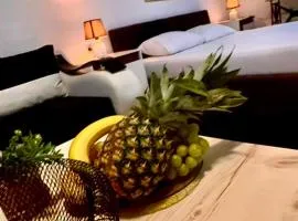 Villa Srna Apartments