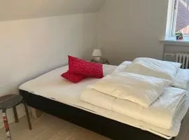 Casa Home of Bricks 8