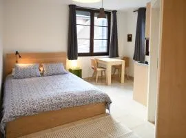 Vevey City Center Apart Hotel